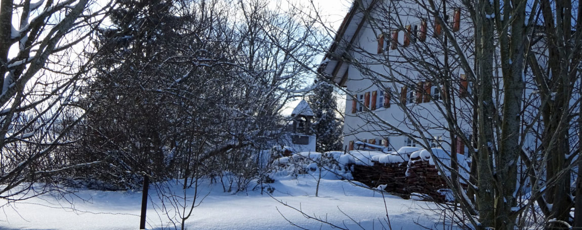 header-winter-1_1920x761.jpg